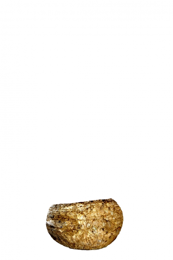 Creation of Rock Balance: Step 2